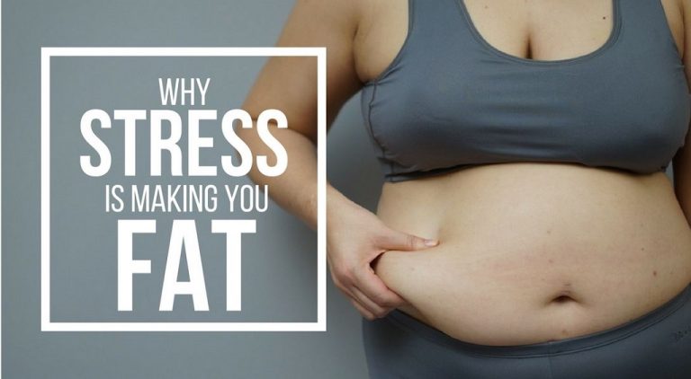Stress Makes You Fat: How?