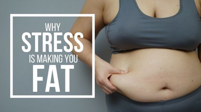 Stress Makes You Fat: How?
