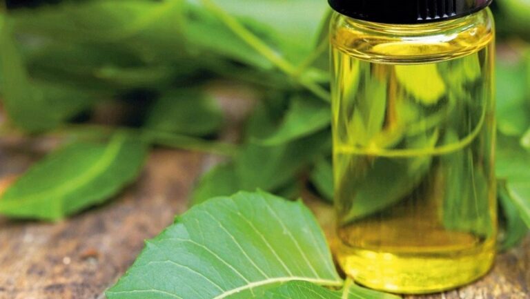 What Happens If You Use Too Much Neem Oil?