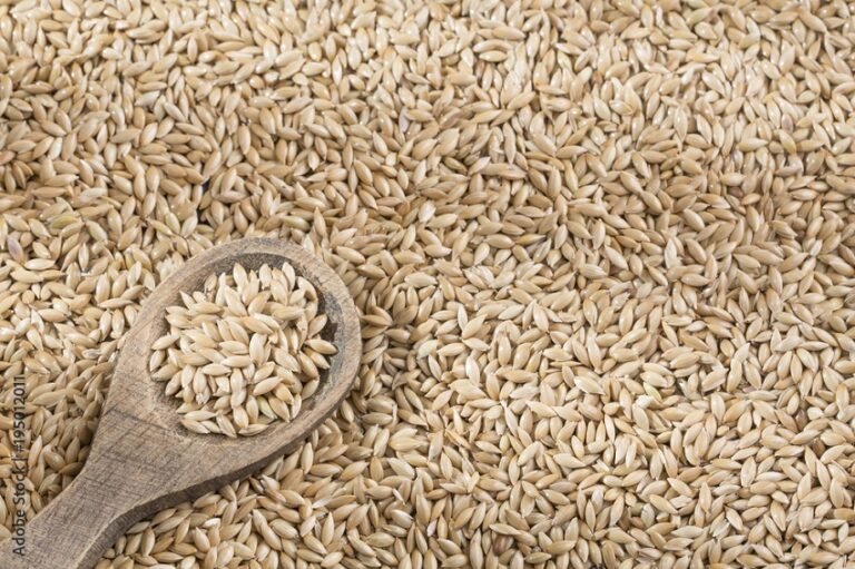What is Canary Seed Good For?