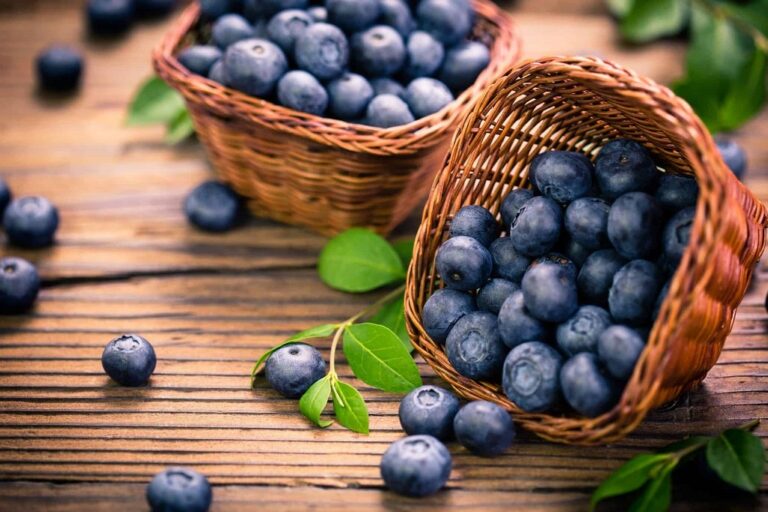 How Many Oz in a Pint of Blueberries?