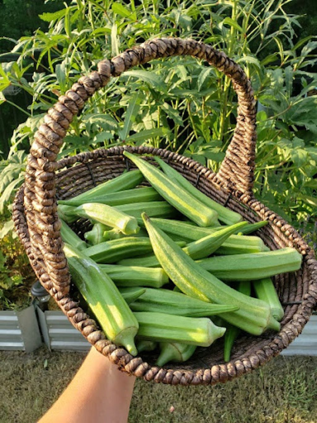 Tips For Serving And Storage: Freeze Breaded Okra