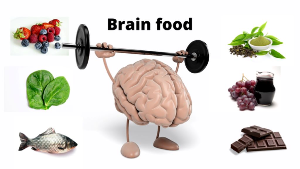Which food is best for brain development?