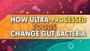 How does ultra-processed food affect the gut microbiome